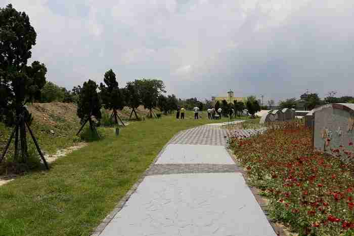 另一種入土為安 環保樹葬回歸大自然