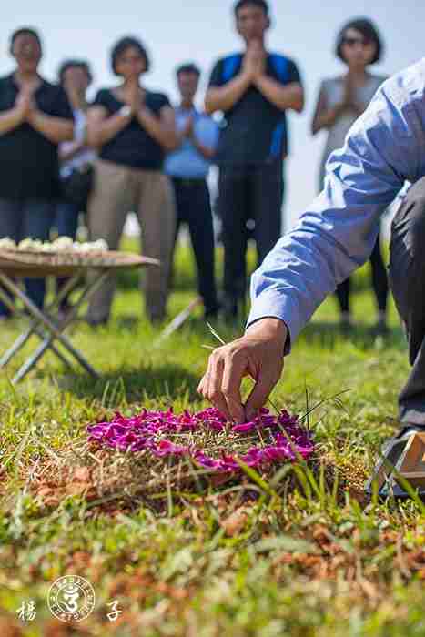 【楊子的日常】樹葬講人性，環保重人文
