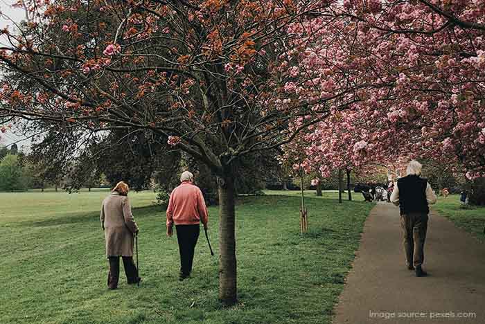 幸福源自深厚的親情與友情、親近大自然與規律運動，生活自在無憂，不怨不悔，只珍惜當下的美好。遠離消耗心力的關係與無謂的壓力，才能擁有純粹而輕盈的生命。｜楊子佛教禮儀公司